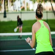 Pickleball Professional Rankings